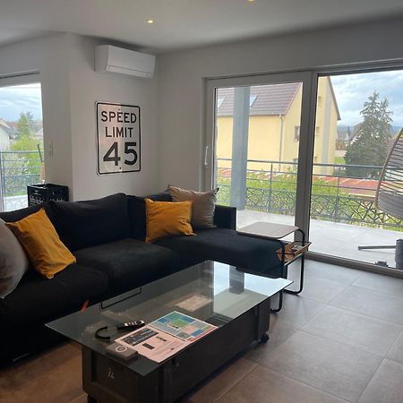 Colmar Appartement Terrasse 10Min Centre Ville Widensolen Extérieur photo